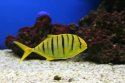 img_0011.jpg [1600 x 1066]